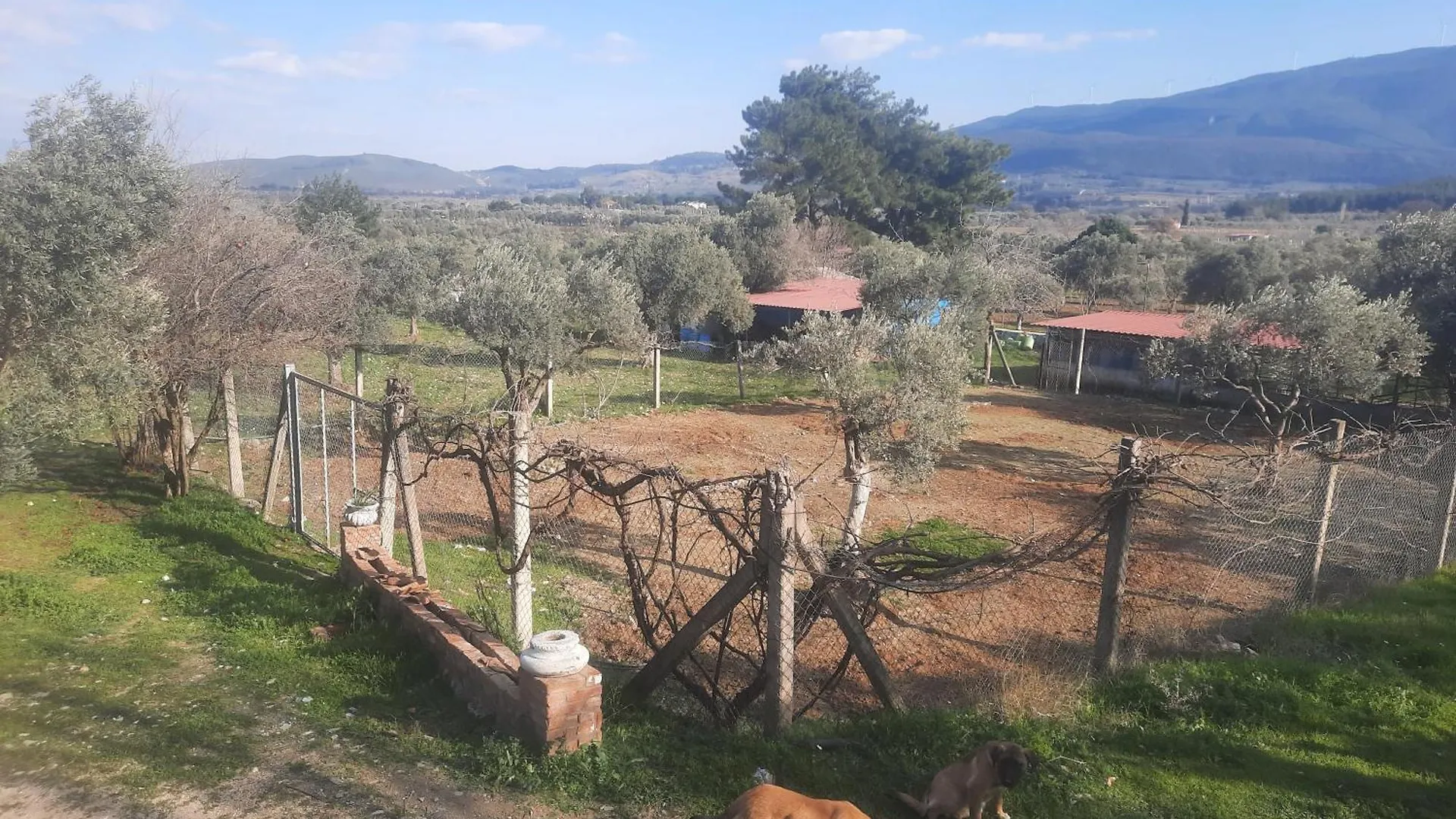Ali Dede Kamp Karavan Bungalow Kusadasi Turkey