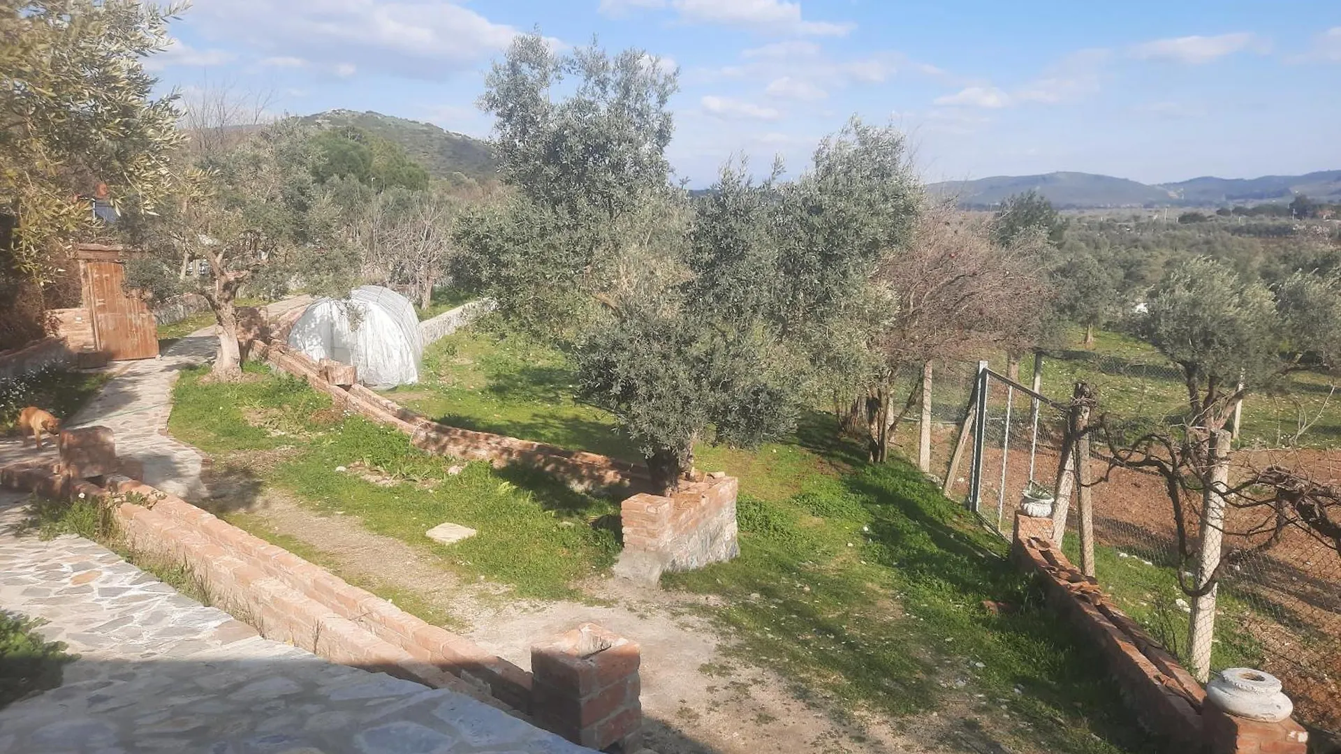 Ali Dede Kamp Karavan Bungalow Kusadasi Campsite