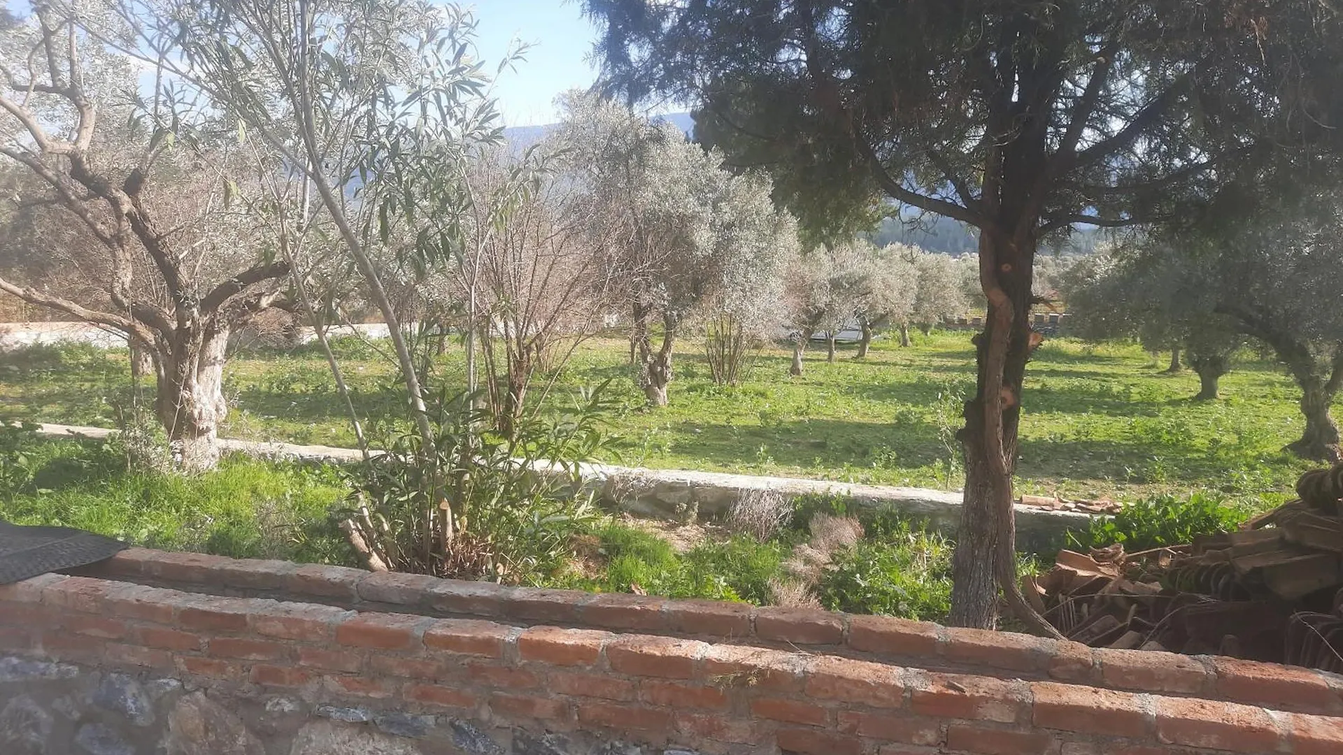 Ali Dede Kamp Karavan Bungalow Kusadası 0*,  Turkiet