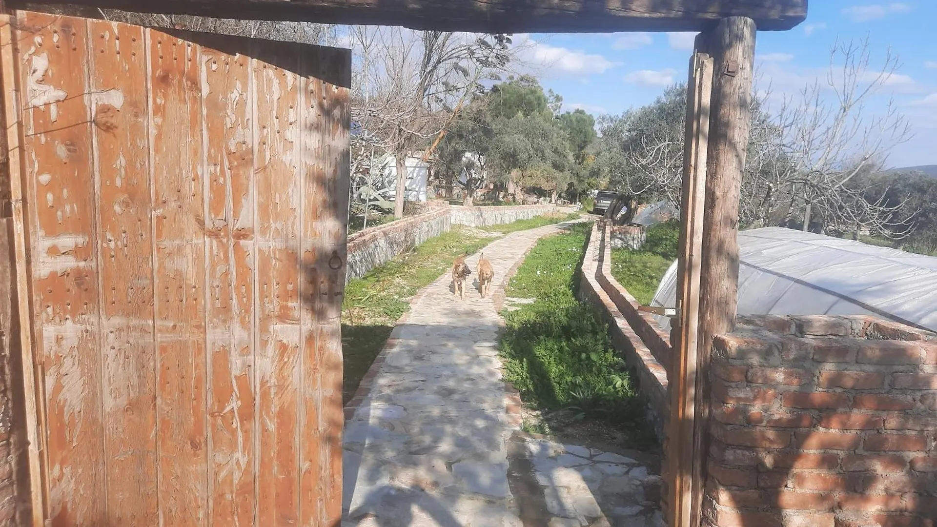 Ali Dede Kamp Karavan Bungalow Kusadası